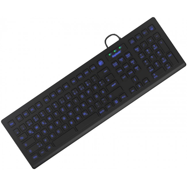KeySonic KSK-8031INEL-B (DE) keyboard Industrial USB QWERTZ German Black