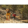 Ruffwear Grip Trex
