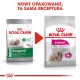 ROYAL CANIN Mini Exigent - dry food for fussy dogs - 1kg