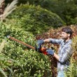 Hedge trimmer 500 watts, 55 centimeters, blade spacing 22 mm