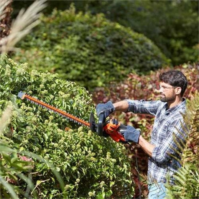Hedge trimmer 500 watts, 55 centimeters, blade spacing 22 mm