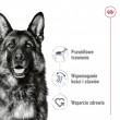 ROYAL CANIN Maxi Loaf - wet dog food - 410g