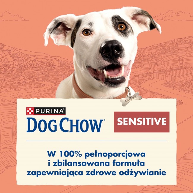 Purina DOG CHOW Sensitive Adult 14 kg Salmon
