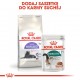ROYAL CANIN Sterilised 7+ - dry cat food - 10 kg ROYAL CANIN Sterilised 7+ - dry cat food - 10 kg