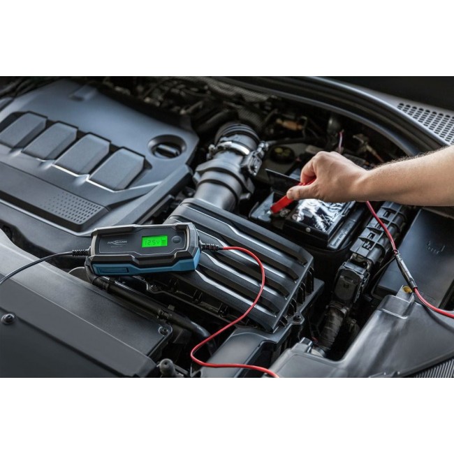 Ansmann 1001-0144 vehicle battery charger 6 - 14 V Black