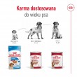 ROYAL CANIN Medium Loaf - wet dog food - 410g
