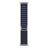 Apple 49mm Navy Alpine Loop - Large - Natural Titanium Finish