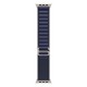 Apple 49mm Navy Alpine Loop - Large - Natural Titanium Finish