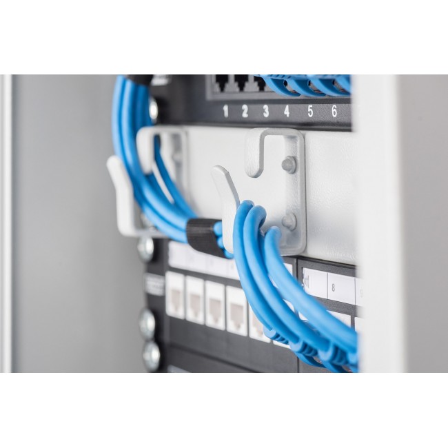 Digitus Wall-mounted housing 254 mm (10