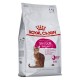 Royal Canin Feline Savour Exigent 4kg cats dry food Adult Royal Canin Feline Savour Exigent 4kg cats dry food Adult