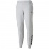 Puma Power Pants FL grey 589546 04 XL