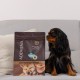 ADDVENA Boosted by superfoods Adult Small Beef - dry dog food - 10kg ADDVENA Boosted by superfoods Adult Small Beef - dry dog food - 10kg