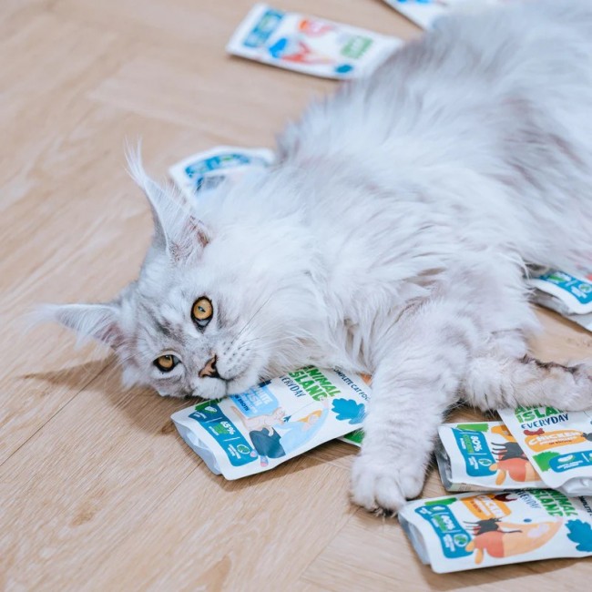 ANIMAL ISLAND Turkey / White fish Fillets in broth - wet cat food - 80x85g ANIMAL ISLAND Turkey / White fish Fillets in broth - wet cat food - 80x85g