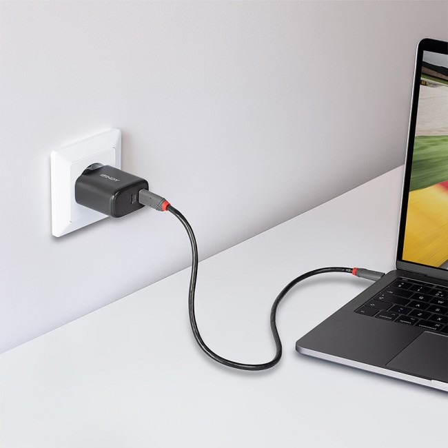 Lindy 65W USB 2 x Type C GaN Charger