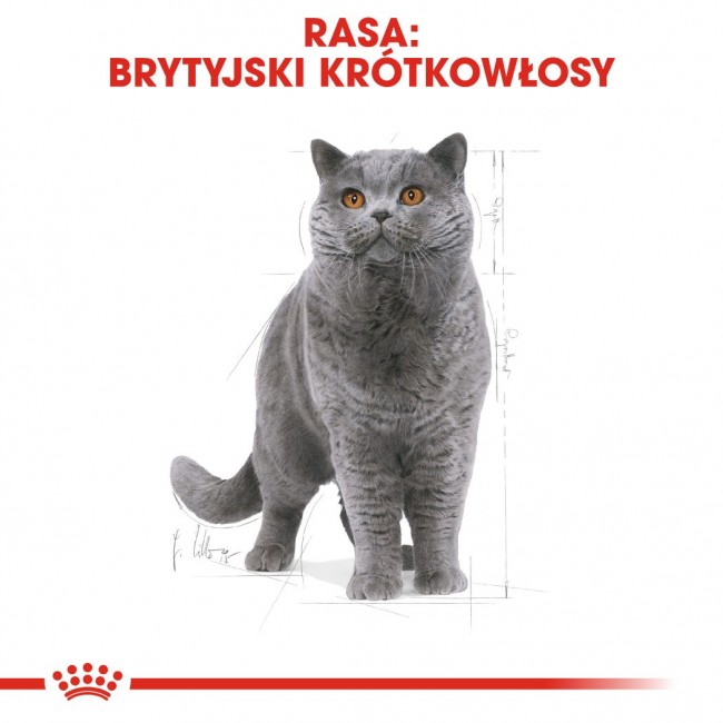 ROYAL CANIN British Shorthair - dry cat food - 2 kg ROYAL CANIN British Shorthair - dry cat food - 2 kg