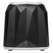 Iceberg Thermal IceFLOE AURORA cool box 0.355 L Electric Black