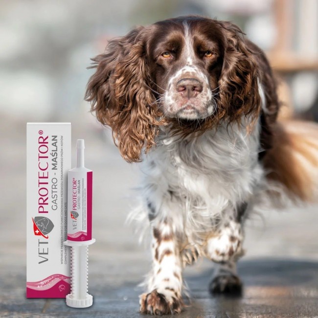 VET PROTECTOR Gastro Butyrate - supplements for dog and cat - 60ml VET PROTECTOR Gastro Butyrate - supplements for dog and cat - 60ml