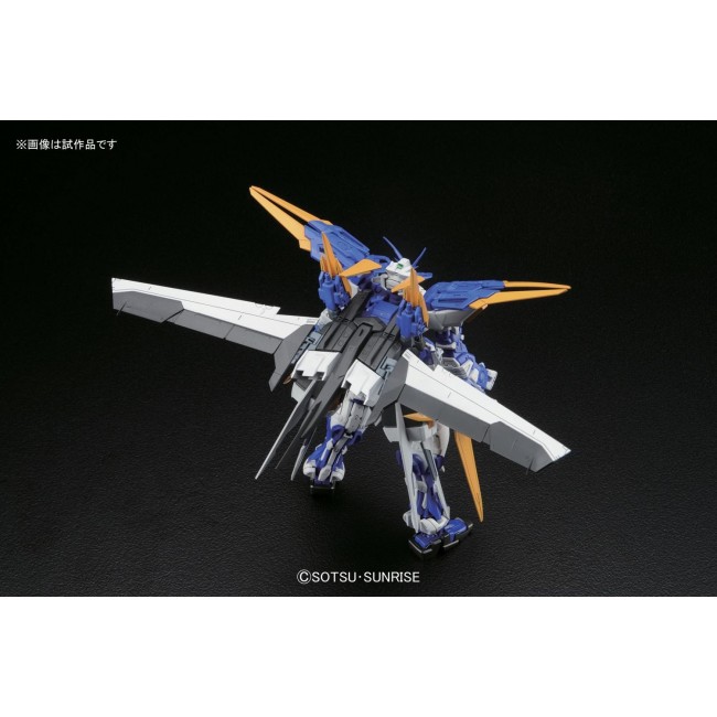 MG 1/100 GUNDAM ASTRAY BLUE FRAME D