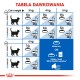 ROYAL CANIN Indoor 27 - dry cat food - 2 kg ROYAL CANIN Indoor 27 - dry cat food - 2 kg