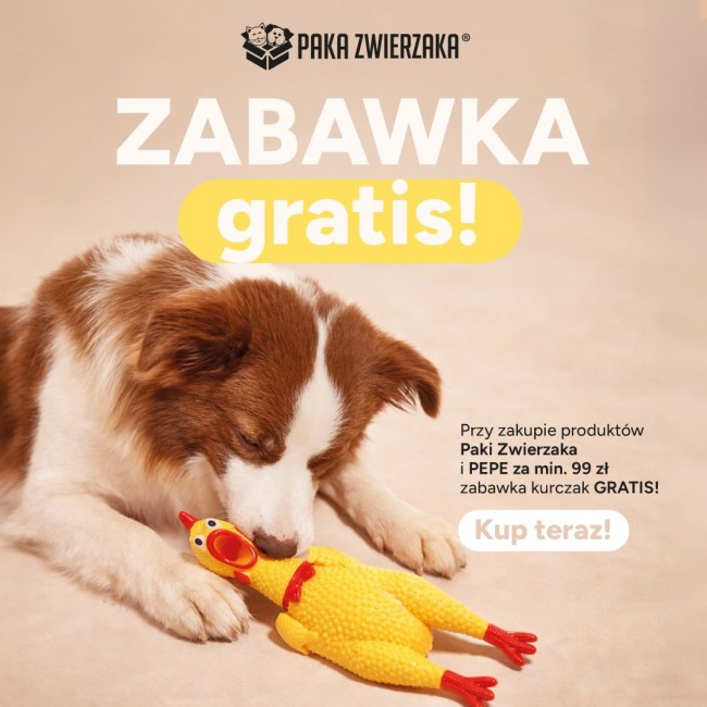 PAKA ZWIERZAKA Chicken- Dog toy PAKA ZWIERZAKA Chicken- Dog toy