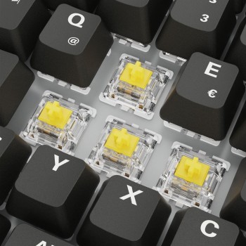 Sharkoon SGK50 S3 keyboard Gaming USB QWERTZ German Black