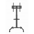 Gembird TVS-55T-01 TV floor stand with caster wheels (tilt), 32