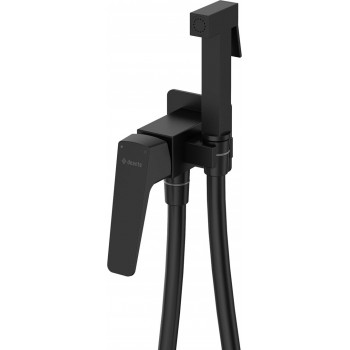 Concealed bidet faucet