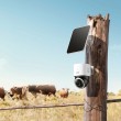 Anker Eufy 4G LTE S330 Outdoor Camera With Solar Panel T86p2321 white Anker Eufy 4G LTE S330 Outdoor Camera With Solar Panel T86p2321 white
