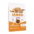 IAMS Advanced Nutrition Hairball Control - dry cat food - 10 kg
