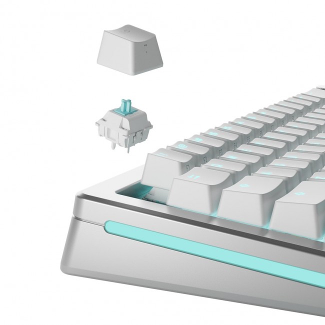 Glorious Gaming Glorious Lynx Linear Mechanical Switches - 36 Pieces