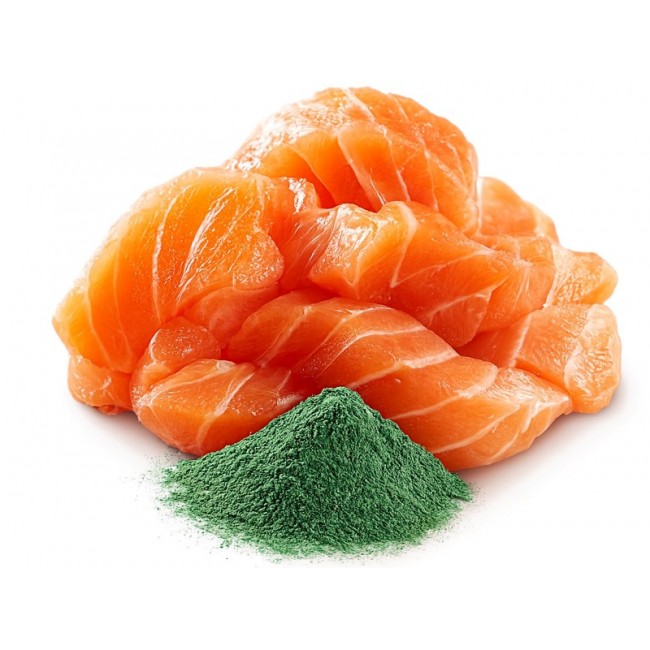 SHELMA with salmon in sauce - wet cat food - 85g SHELMA with salmon in sauce - wet cat food - 85g
