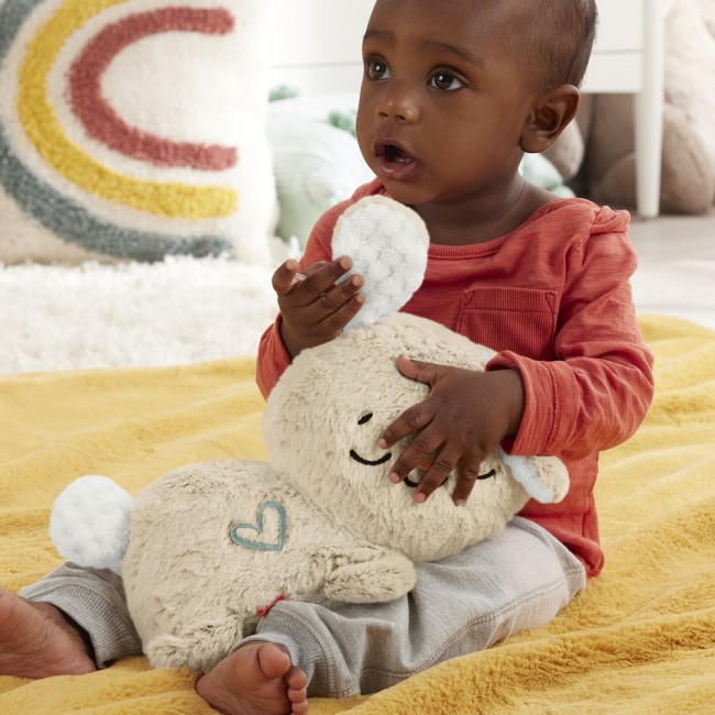 Fisher-Price Soothe & Settle Bunny Plush Baby Toy & Customizable Sound Machine with Motion Fisher-Price Soothe & Settle Bunny Plush Baby Toy & Customizable Sound Machine with Motion