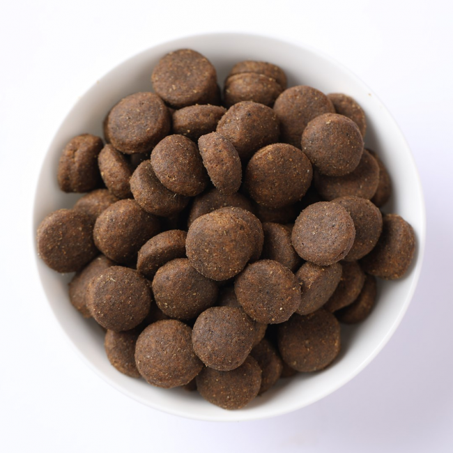 Farmina Pet Food BOAR AND APPLE ADULT MEDIUM & MAXI