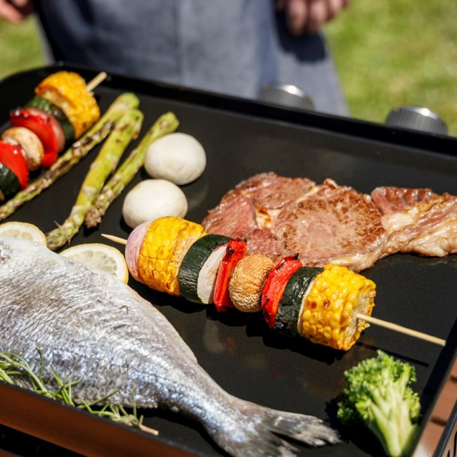 Black+Decker BXOP4900E 2-burner gas barbecue