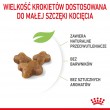 Royal Canin Kitten cats dry food 10 kg