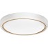 Modern LED ceiling plafond Activejet VERDI White/Gold 23W