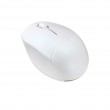 ASUS Fragrance MD101 mouse Home Ambidextrous RF Wireless + Bluetooth Optical 2400 DPI ASUS Fragrance MD101 mouse Home Ambidextrous RF Wireless + Bluetooth Optical 2400 DPI