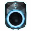 Iceberg Thermal IceFLOE AURORA cool box 0.355 L Electric Black