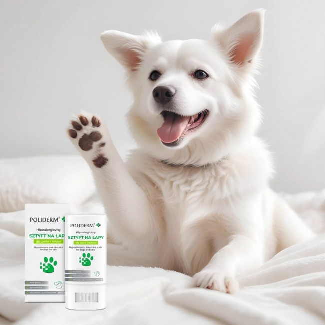 POLIDERM hypoallergenic paw stick for dog and cat 14.5g