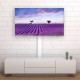 Techly ICA-TR47 TV cabinet/entertainment center