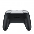 Nintendo Switch 2 Pro Controller