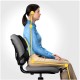Fellowes Ergonomics professional back support pillow Fellowes Ergonomics professional back support pillow
