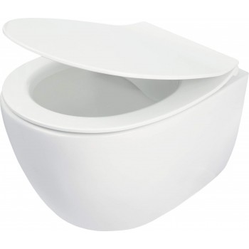 Rimless toilet