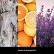 Reed Diffuser Refill 500 ml SANDALO BERGAMOTTO MILLEFIORI