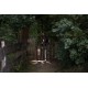 Ledlenser P5R Core Black Hand flashlight LED
