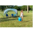 Campingaz Icetime Plus 26L cool box Blue