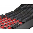 GENESIS Thor 230 TKL Gaming Keyboard