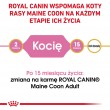 ROYAL CANIN Maine Coon Kitten- dry cat food - 4 kg