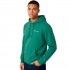 Bluza męska Champion Hooded Sweatshirt zielona 221791 GS108 L