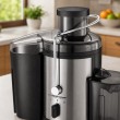 Esperanza EKJ002 juice maker Black,Stainless steel 500 W